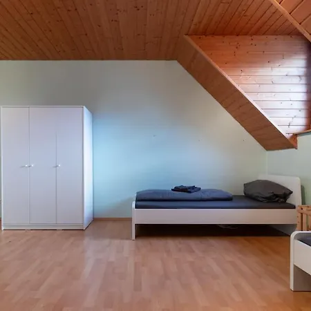 Traumhaus Naehe Mainz I 12 Betten I 4 Schlafzimmer I Terrasse I 200m2 I Garten Weinolsheim